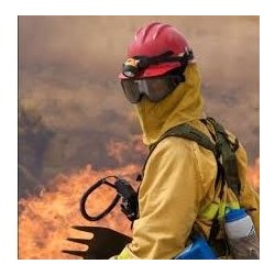 supplier distributor jual forestry fire fighting helmets bullard jakarta indonesia harga murah 1