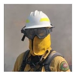 supplier distributor jual forestry fire fighting helmets bullard jakarta indonesia harga murah 3