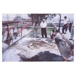 supplier distributor jual oil spill dispersant ar od616 cleaning chemical jakarta indonesia harga murah 1